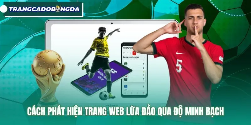 Dấu hiệu nhận diện qua giấy phép quốc tế và cổng nạp