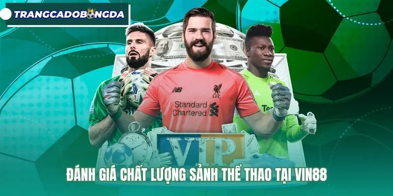 Độ ổn định bảng kèo và tốc độ thanh toán tại Vin88