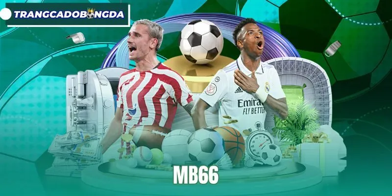 MB66 - Cá Độ Bóng Đá Xanh Chín, Trải Nghiệm Kèo Đa Dạng