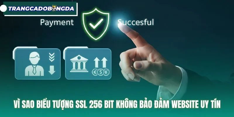Chuẩn ssl 256 bit giữ vai trò tựa chiếc khóa số kiên cố bảo vệ lối kết nối, nhưng vật cản này không thể thay bạn chọn lựa người bước qua. Hãy luôn coi mã hóa kỹ thuật là điều kiện nền tảng, đồng thời chủ động kiểm chứng pháp lý để bảo vệ an toàn cho tài sản và thông tin cá nhân của chính mình.